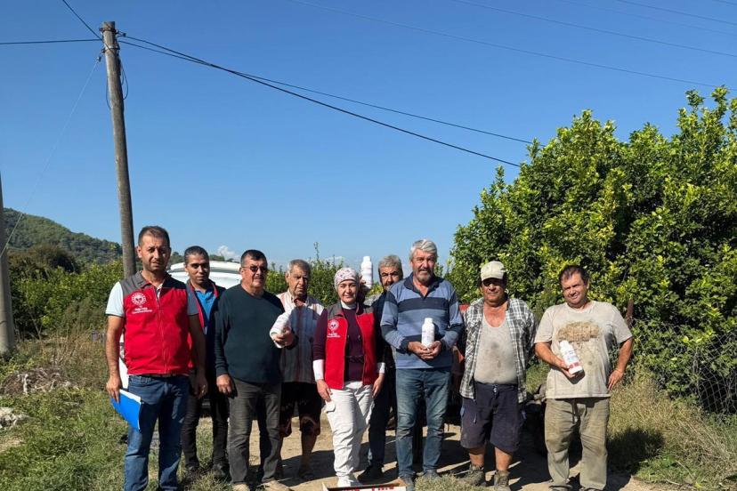 Ortaca’da narenciye bahçelerinde zararlılara karşı mücadele sürüyor