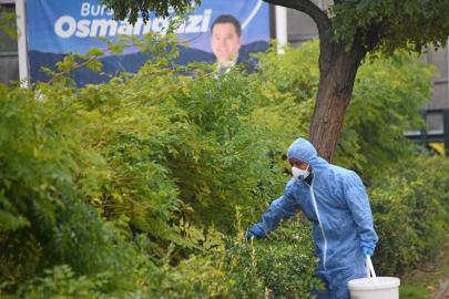 Osmangazi’de kemirgenlere karşı ilaçlama çalışması başlatıldı