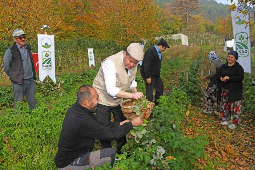 Osmangazi’de Üzümsü Meyvelerde Organik Tarım Seferberliği