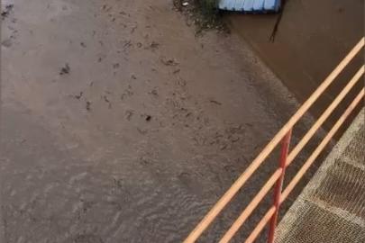 Osmaniye’de baraj kapakları açıldı, yüzlerce balık telef oldu