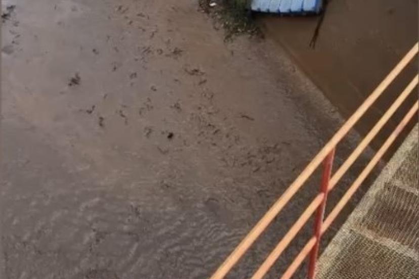 Osmaniye’de baraj kapakları açıldı, yüzlerce balık telef oldu