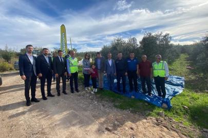 Osmaniye’de zeytin festivali