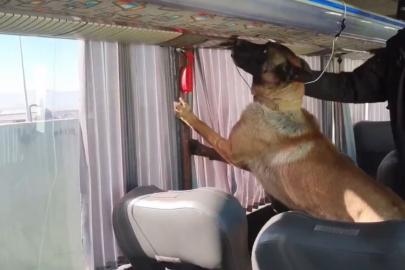 Otobüs bagajında skunk düzeneği: 8 kilo zehir ele geçirildi