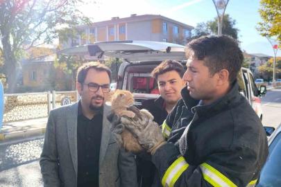Otomobilin motor kısmına sıkışan yavru kedi itfaiye ekiplerince kurtarıldı