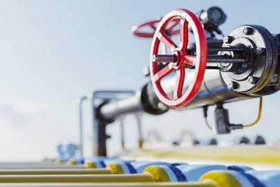 PALEN, kış ortasında dondurdu