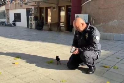 Polis memuru ile saka kuşunun dostluğu görenleri hayrete düşürdü