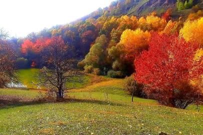 Posof’ta sonbaharla gelen güzellikler