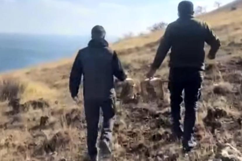 Rehabilite edilen keklikler yeniden doğayla buluştu