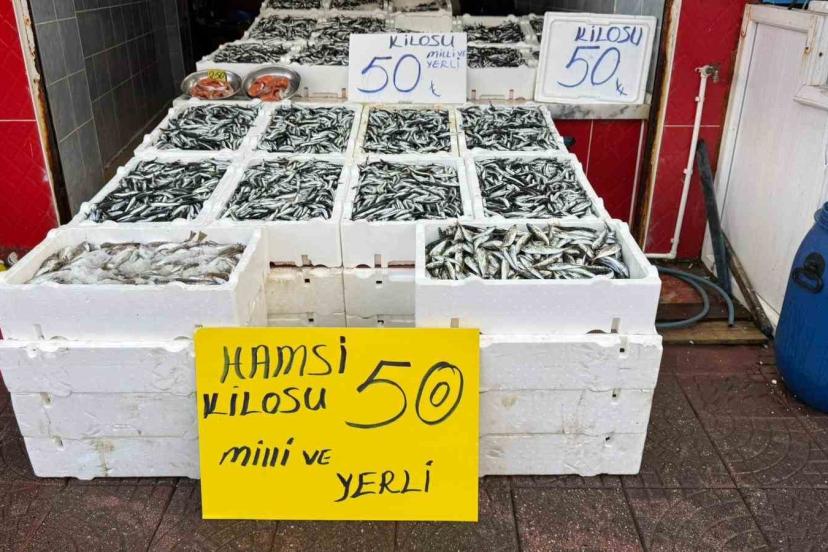 Rize’de hamsinin fiyatı sevenlerinin yüzünü güldürüyor