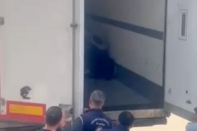 Sakarya’da 24 düzensiz göçmen yakalandı