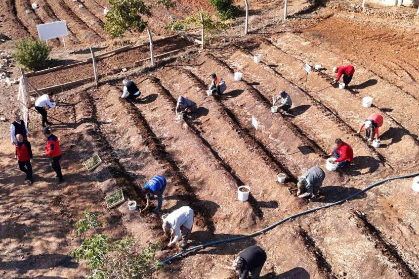 Salep toprakla buluşturuldu