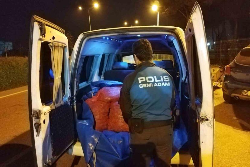 Samsun’da 200 kilo kaçak midye ele geçirildi