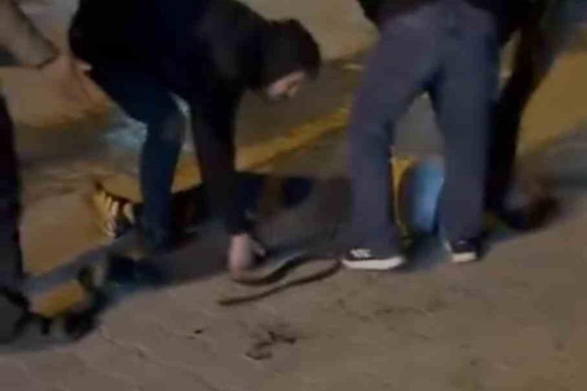 Şanlıurfa’da bıçaklı kavga: 3 yaralı