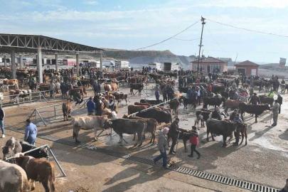 Şap tehlikesi nedeniyle kapatılmıştı, Sorgun Hayvan Pazarı 5 ay sonra yeniden açıldı