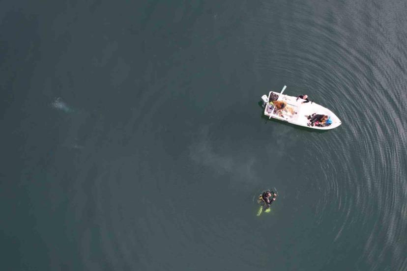 Sapanca Gölü’ndeki endişelendiren kabarcıklar su altından ve havadan görüntülendi