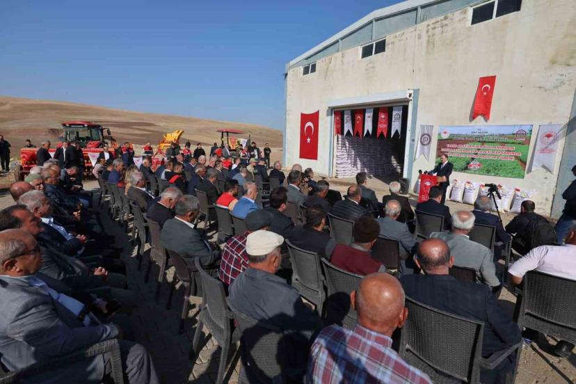 Siirt’te 203 ton kırmızı mercimek çiftçilere dağıtıldı