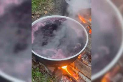 Sinop köylerinde kazanlar kaynıyor: Kışlık pekmez mesaisi