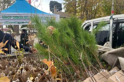 Sinop’ta vatandaşlara fidan dağıtıldı