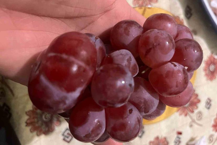 Sıra dışı üzüm tanesi görenleri hayrete düşürdü