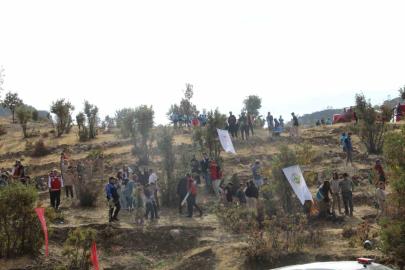 Şırnak’ta "Adliye Hatıra Ormanı" kuruldu