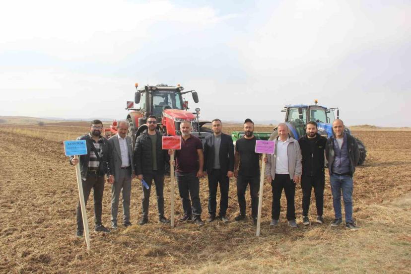 Sivas’ta 5 farklı ekmeklik buğday, pilot bölgede toprakla buluşturuldu