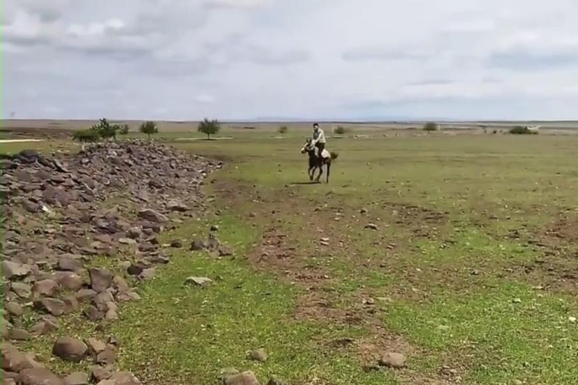 Siverek’te ilginç anlar kameraya yansıdı