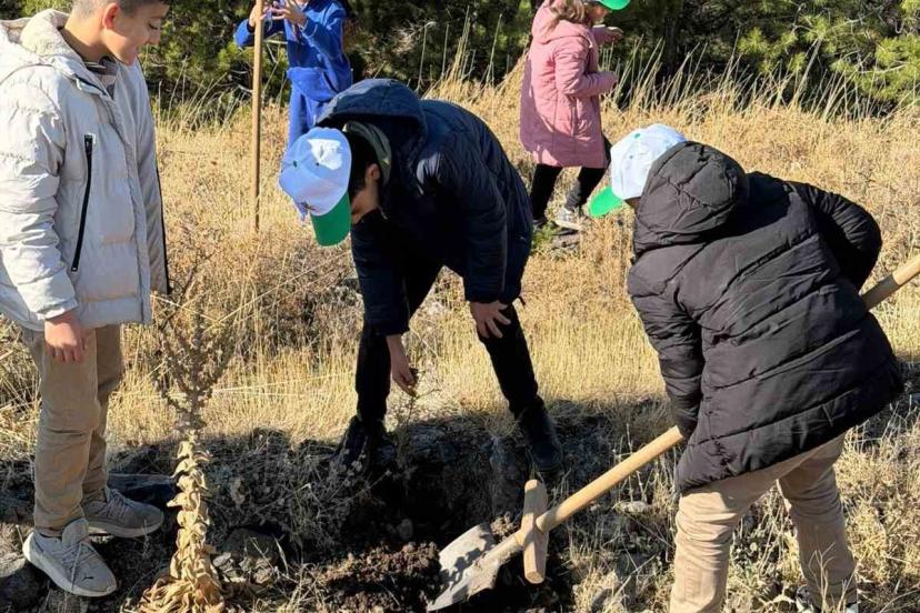 Sivrice’de fidan dikme etkinliği düzenlendi