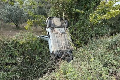 Sollama yaparken zeytinliğe uçtu