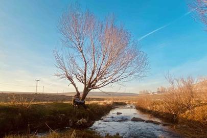Sonbaharda sararan yapraklar görsel şölen oluşturdu