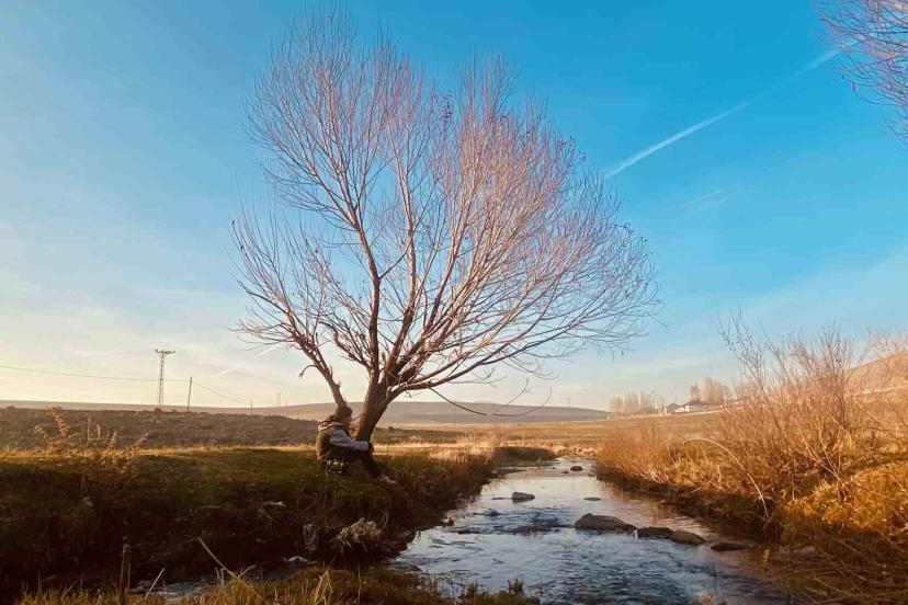 Sonbaharda sararan yapraklar görsel şölen oluşturdu