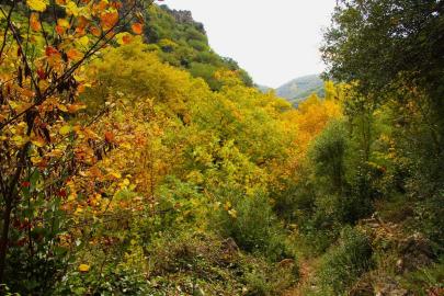 Sonbaharın güzelliğine bürünen Koçak Kanyonu’na dikkat çektiler