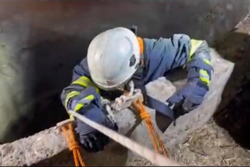 Su kuyusuna düşen çakalı itfaiye ekipleri kurtardı