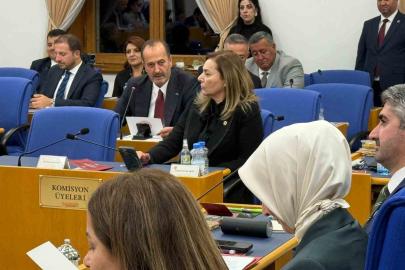 Tamer Osmanağaoğlu’ndan bütçe görüşmelerinde Aliağa vurgusu