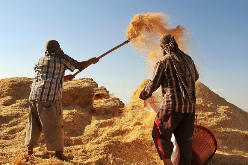 Tarım-GFE yıllık yüzde 34,60 arttı