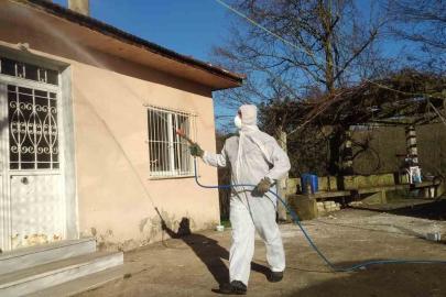 Tarım ve Orman İl Müdürlüğü’nden ‘Kahverengi Kokarca’ çağrısı