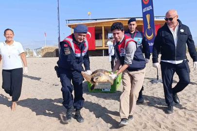 Tedavisi tamamlanan caretta caretta denizin maviliğine kulaç açtı