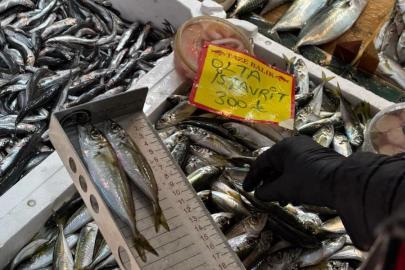 Tekirdağ’da balık tezgahlarına sıkı denetim: Boy ölçümleriyle sürdürülebilir avcılığa destek