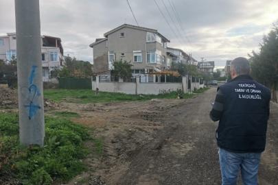 Tekirdağ’da sahipsiz sokak hayvanları için sayım çalışması yapılıyor