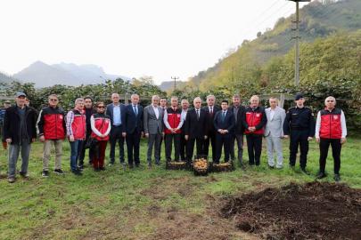 Tescilli Ordu kivisinde hasat başladı: İlin ekonomisine 520 milyon TL katkı