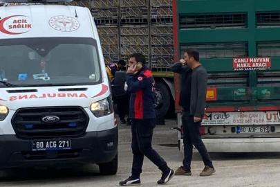 Tırın altında kalan yaşlı adam hayatını kaybetti