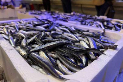 Trabzon’dan gelen taze balıklar Erzincan’da ilgi görüyor