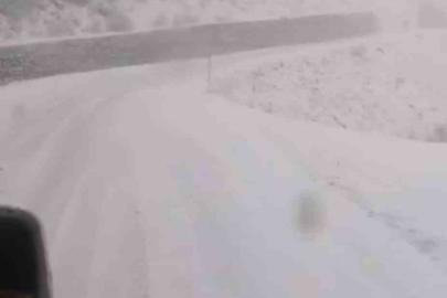 Tunceli’de, kar yağar yağmaz mücadele başladı