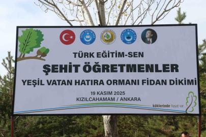 Türk Eğitim-Sen Genel Başkanı Geylan: "Maalesef her yıl on binlerce hektarımız yanıyor"