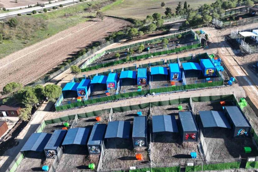 Türkiye’de ilk defa özel can dostlara sıcak yuva Balıkesir’de