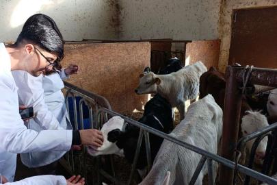 Üniversite öğrencileri Van’da sertifikalı sığır yetiştiriciliği eğitimine katıldı