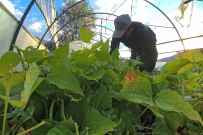 Ünlü şeflerin vazgeçilmez lezzeti: İspir Fasulyesi dünyayı fethediyor