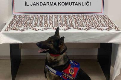 Uyuşturucuyla yakalanan şahıs utuklandı