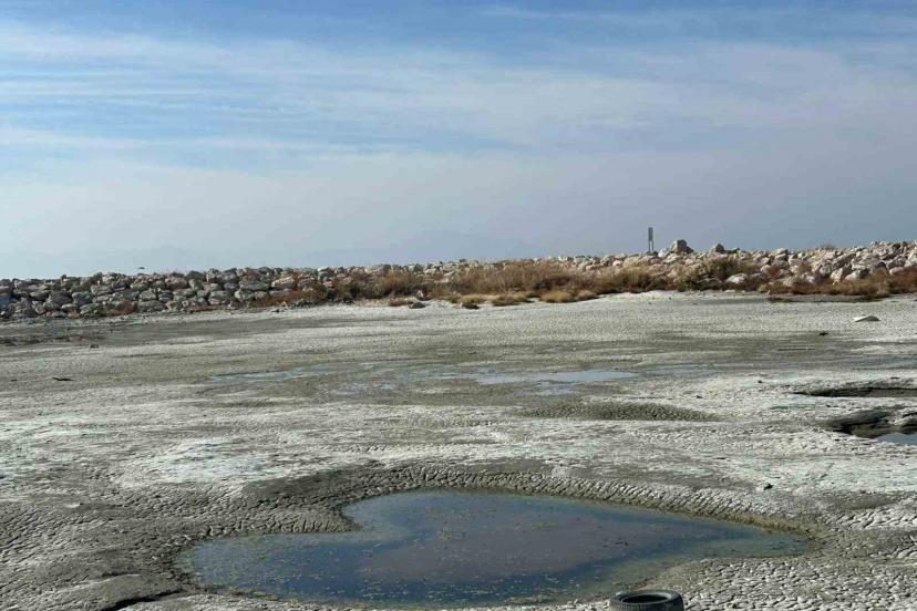 Van Gölü çekilince balıkçı limanları karaya döndü