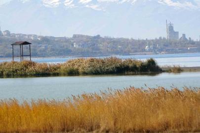 Van Gölü Havzası, Türkiye’nin en fazla sulak alanına ev sahipliği yapıyor