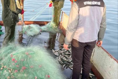 Van Gölü’nde balıkçılık denetimi yapıldı